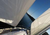 sailing yacht sailboat sails